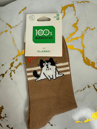 Marrón gato