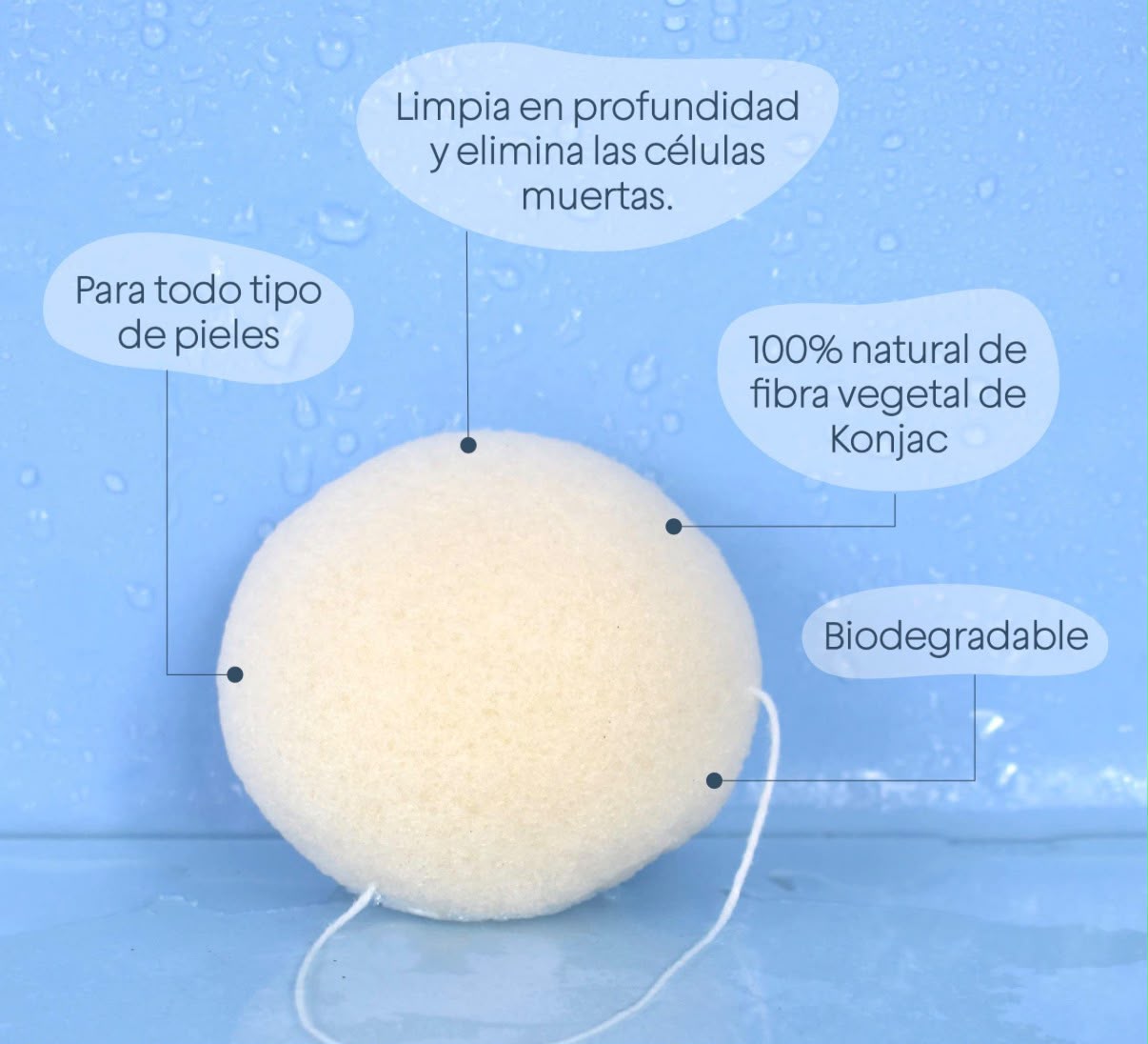 Esponja Facial konjac 100% natural